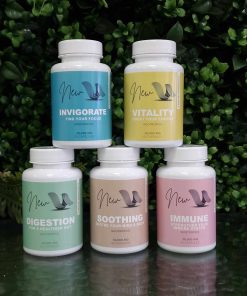 Nootropics Bundle